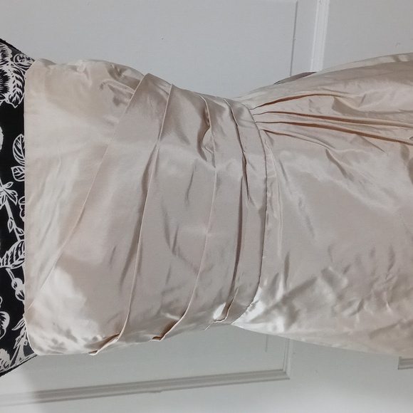 🆕️ 🥂J. Crew🥂 - Champagne Strapless Silk Cocktail Dress - Picture 5 of 13